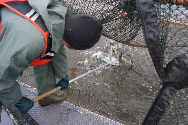 History kept alive through fisheries program